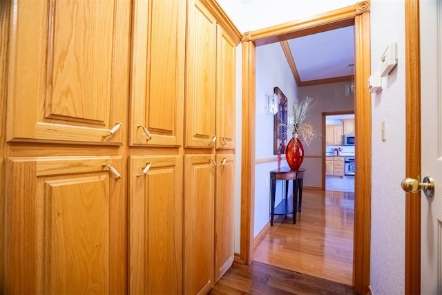 hall featuring ornamental molding and dark wood-type flooring