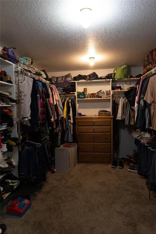 spacious closet with carpet floors