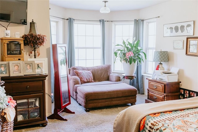 sitting room featuring light carpet and a healthy amount of sunlight