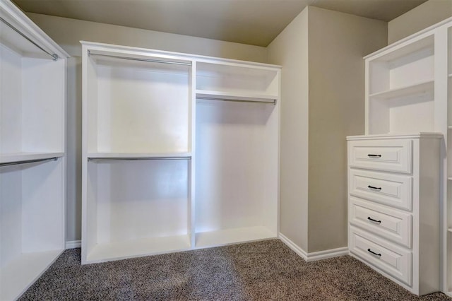 walk in closet with carpet floors