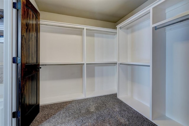 walk in closet with carpet flooring