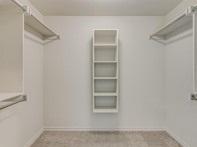 spacious closet with carpet floors