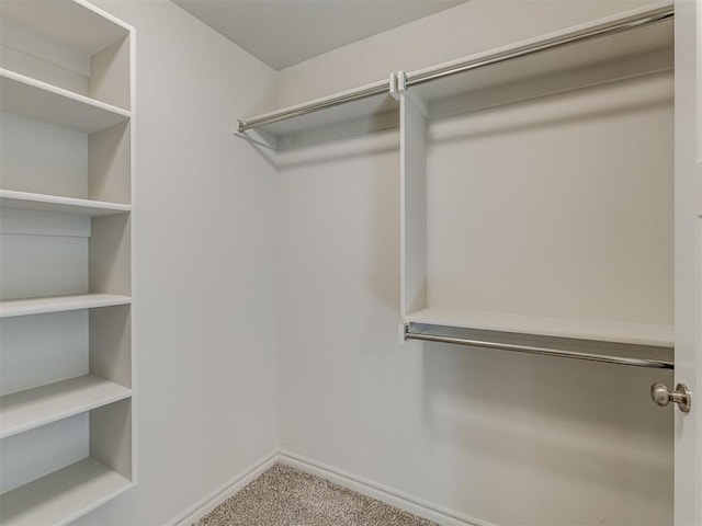 walk in closet featuring carpet floors