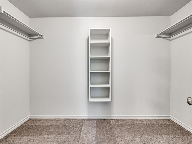 walk in closet featuring carpet floors