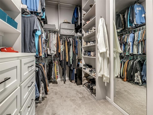 spacious closet with light colored carpet