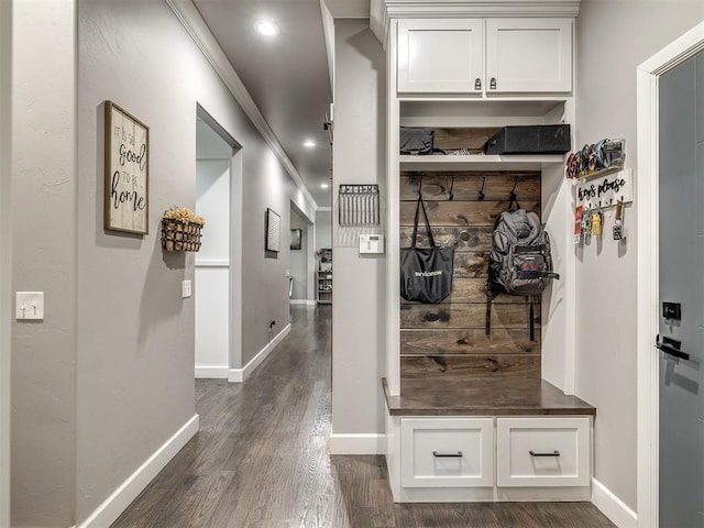 mudroom featuring crown molding and dark hardwood / wood-style floors