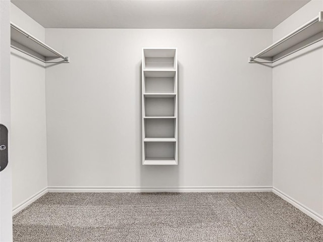 walk in closet featuring carpet flooring