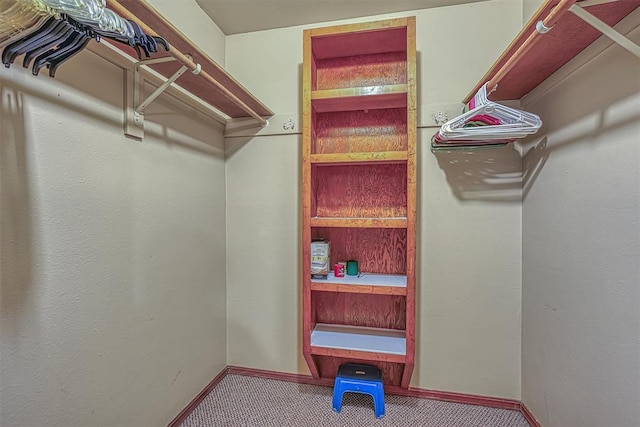 walk in closet featuring carpet floors