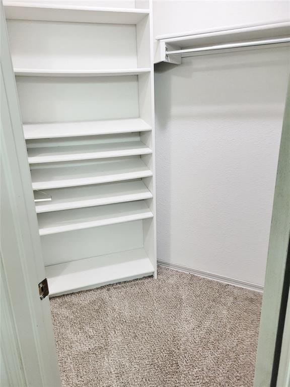 spacious closet featuring carpet floors