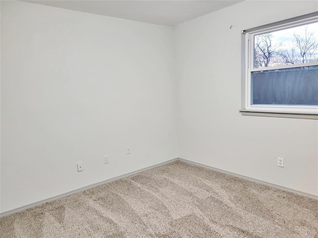 spare room featuring carpet floors