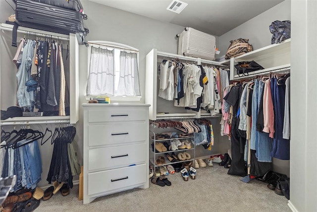 walk in closet with light carpet