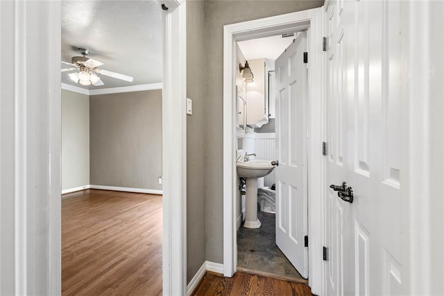 hall with crown molding and dark wood-type flooring