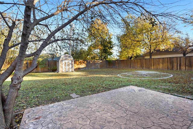 view of yard featuring a patio area and a storage unit