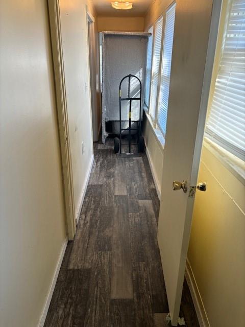 hall with dark hardwood / wood-style floors