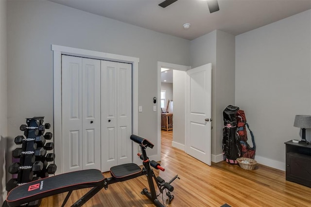 workout area featuring ceiling fan and light wood-type flooring