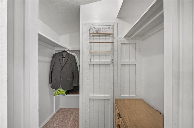 walk in closet with carpet floors