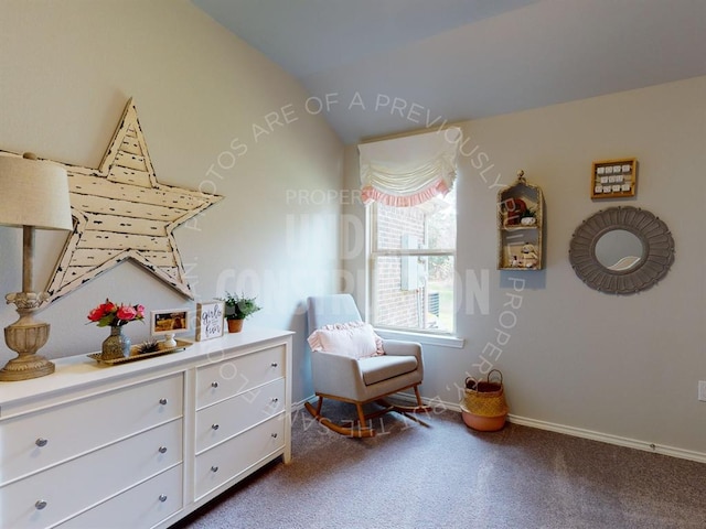 sitting room with carpet flooring