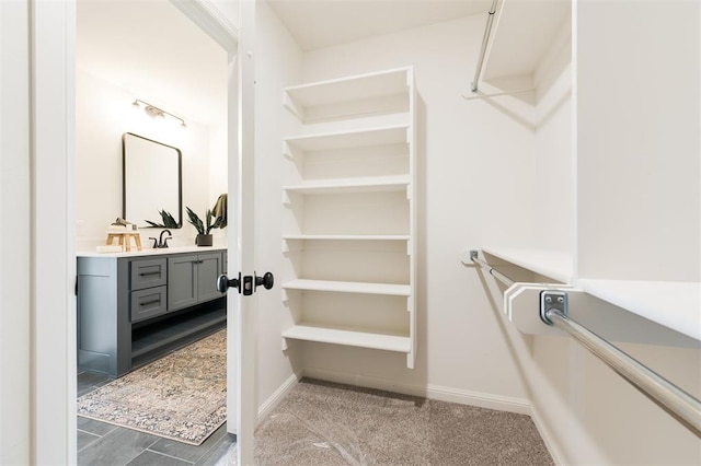 walk in closet with a sink