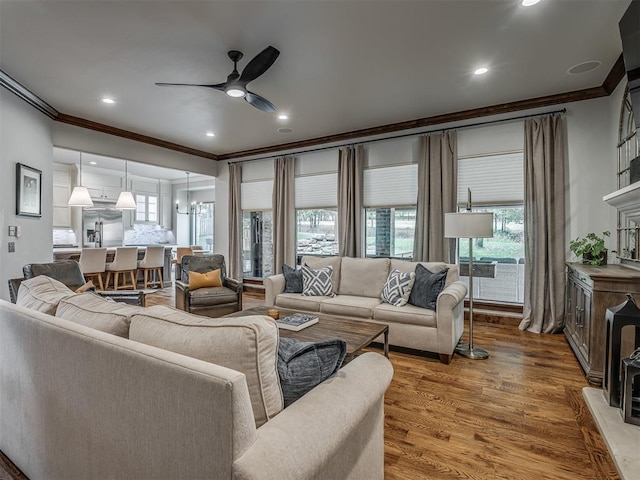 living room with ceiling fan, wood-type flooring, and ornamental molding