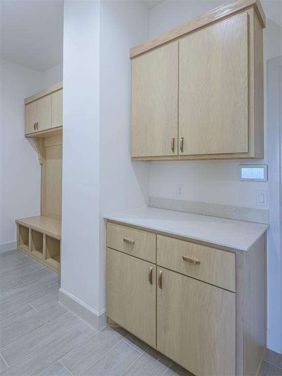 kitchen featuring light brown cabinets and light wood-type flooring