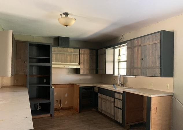 kitchen featuring sink and dark hardwood / wood-style floors