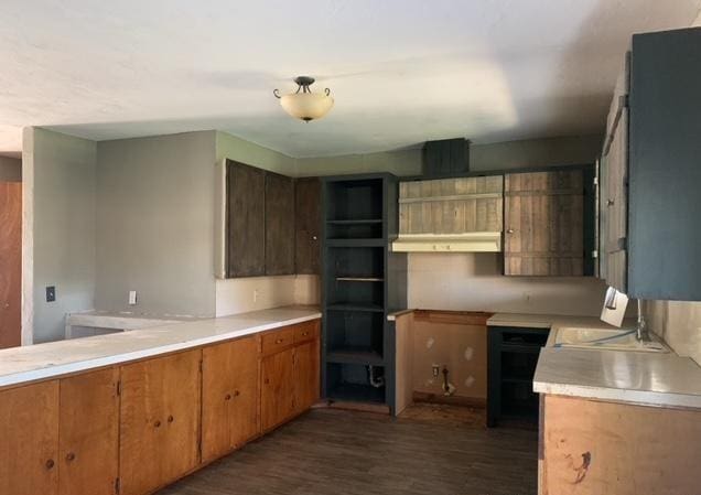 kitchen with dark hardwood / wood-style flooring and sink