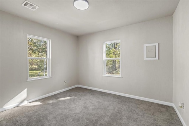 carpeted empty room with a healthy amount of sunlight