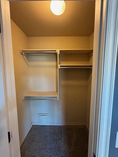 walk in closet featuring carpet flooring