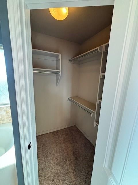 spacious closet featuring carpet flooring