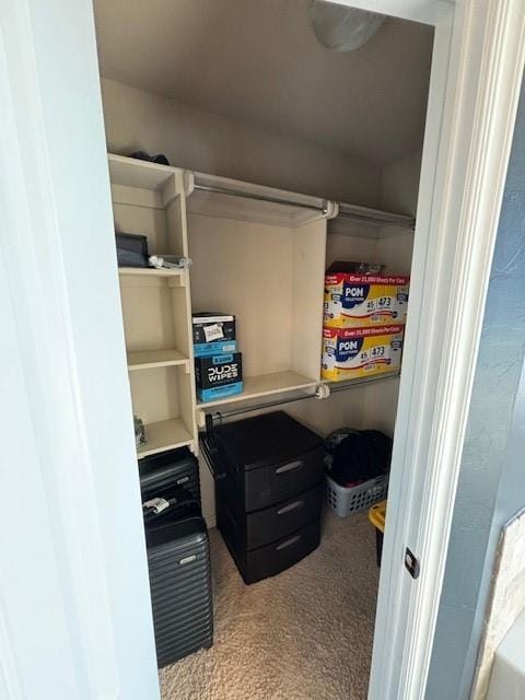 walk in closet with light carpet