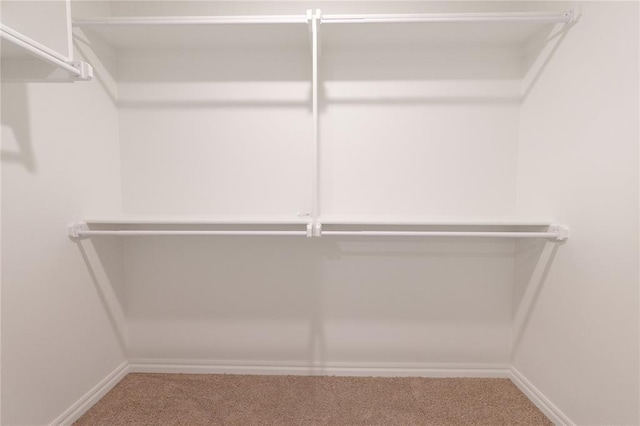 walk in closet with carpet