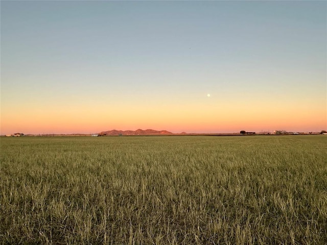 nature at dusk with a rural view