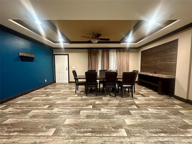 home theater room with ceiling fan and a raised ceiling