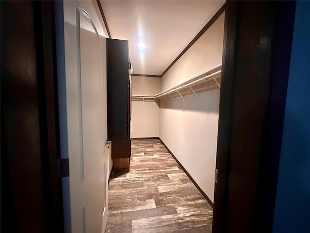 walk in closet featuring light hardwood / wood-style floors