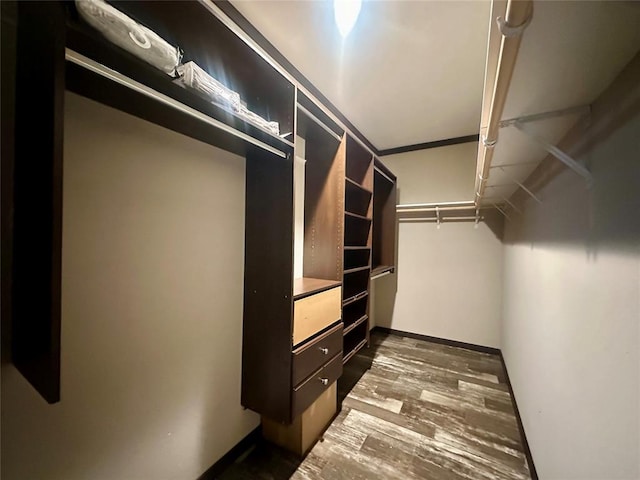 spacious closet featuring dark wood-type flooring