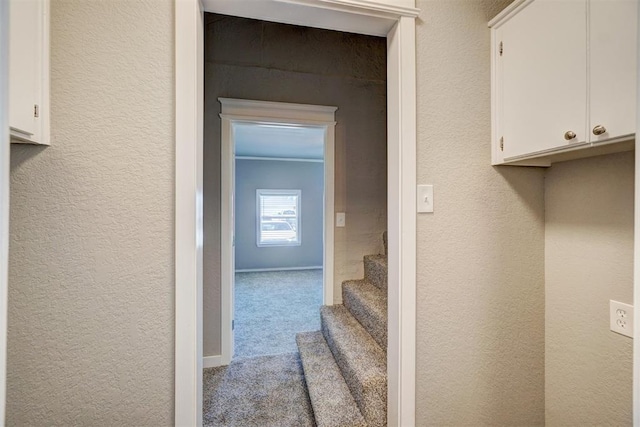 hall with carpet and ornamental molding