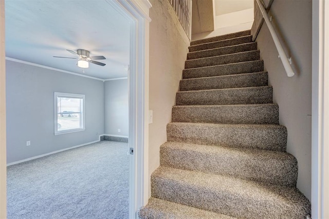 stairway with carpet, ceiling fan, and crown molding