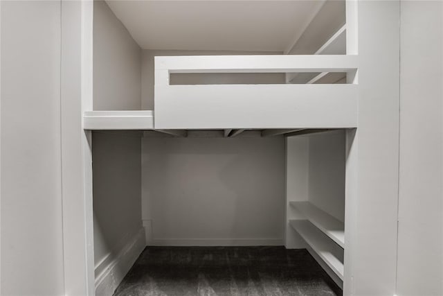 spacious closet featuring dark colored carpet