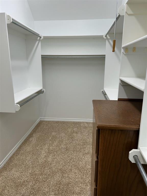 spacious closet featuring carpet