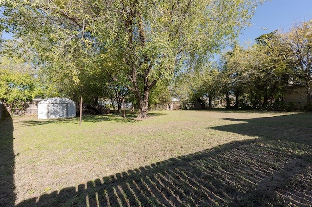 view of yard with a storage unit