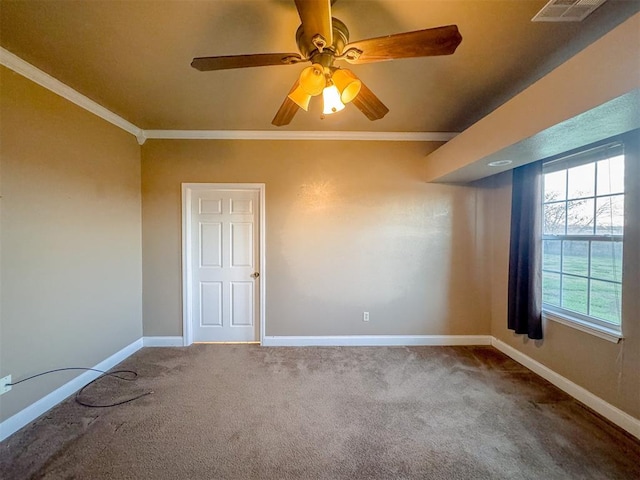 spare room featuring carpet, ceiling fan, and ornamental molding