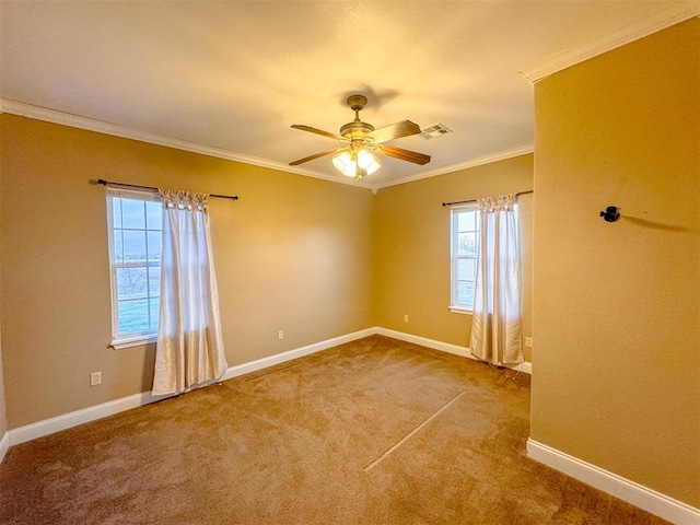 empty room with crown molding, carpet floors, and ceiling fan