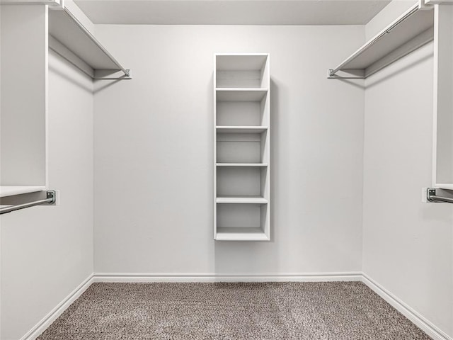 walk in closet featuring carpet floors