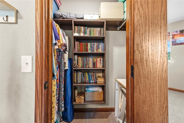 corridor with carpet floors