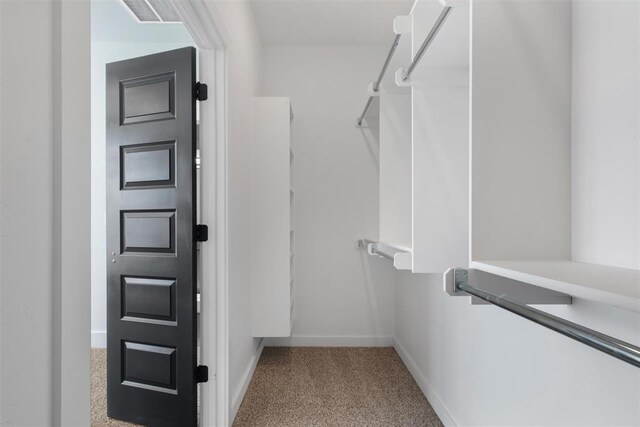 walk in closet featuring light colored carpet