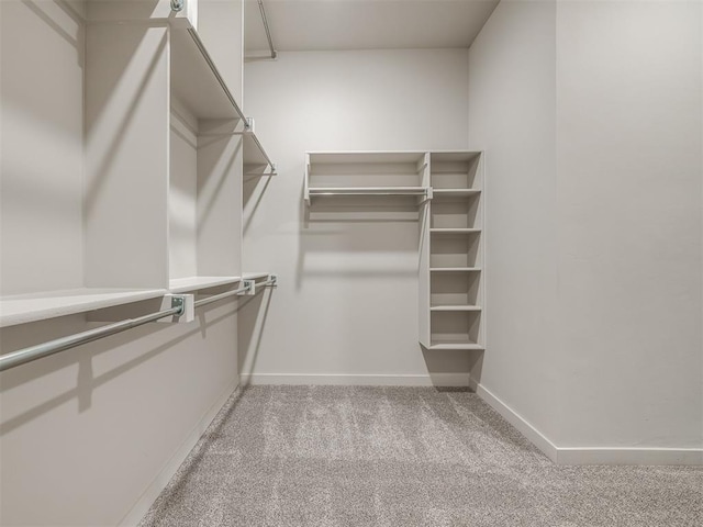 walk in closet with light carpet