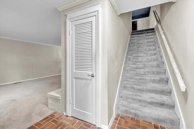 stairs with carpet flooring and crown molding