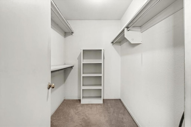 walk in closet with light carpet