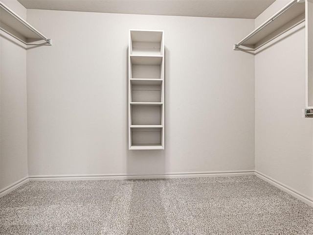 walk in closet featuring carpet