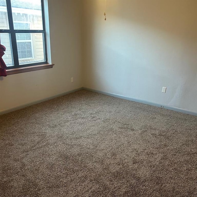 spare room with carpet